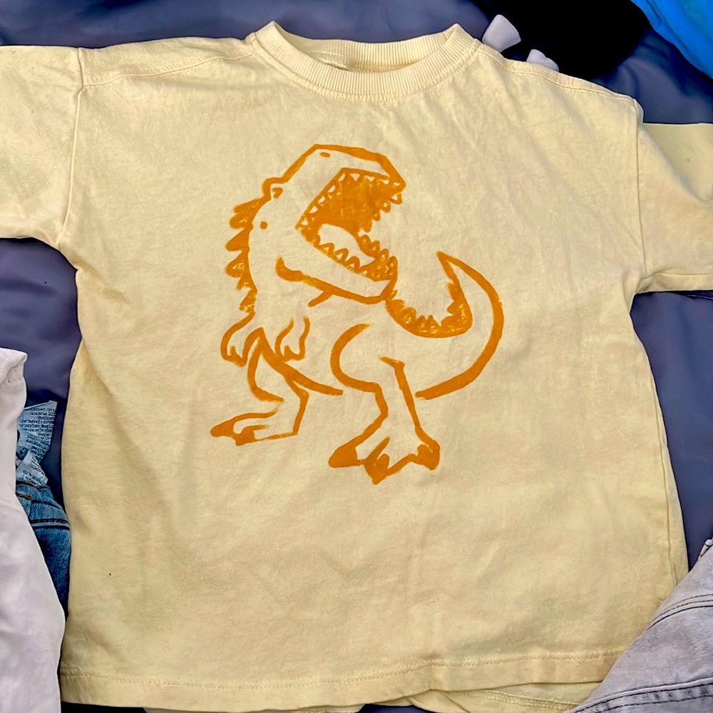 Zara toddler boy short set